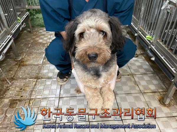 한국동물구조관리협회_411317202400314